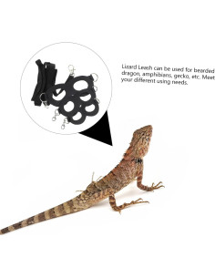 Correa Ajustable MERRYHAPY para Lagartos y Reptiles Pequeños 2