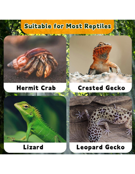Escondite de Coco para Reptiles Acsist 13.5 cm 5 Piezas Escondite de Coco para Reptiles Acsist 13.5 cm 5 Piezas