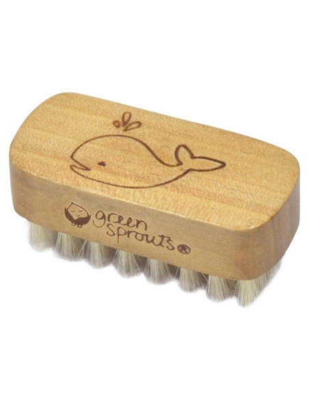 Cepillo de Uñas para Bebés Green Sprouts - Cerdas Naturales Cepillo de Uñas para Bebés Green Sprouts - Cerdas Naturales