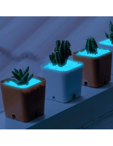300 Piedras Brillantes en la Oscuridad Azul - Decoración Jardín
