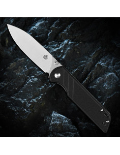 Cuchillo Plegable QSP Loro D2 Mango G10 Negro 10.16 cm 2