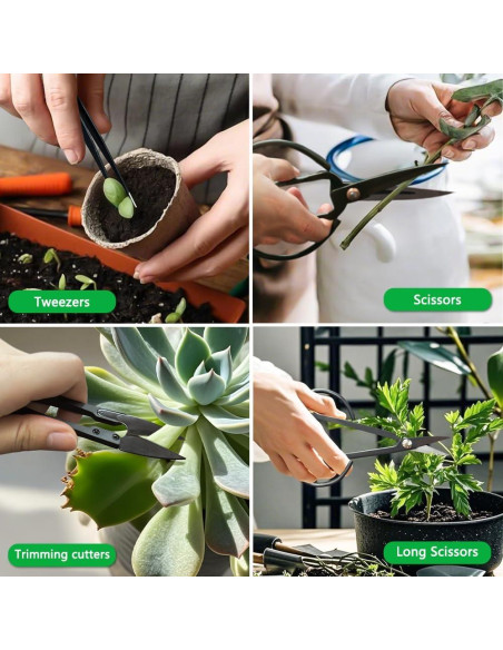 Juego de Herramientas para Bonsai Bonfino 21 Piezas - Kit de Poda Juego de Herramientas para Bonsai Bonfino 21 Piezas - Kit de Poda