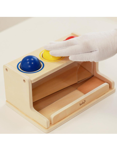 Juguete Montessori Dailyfunn Caja de Permanencia 0.63 kg 1-3 años