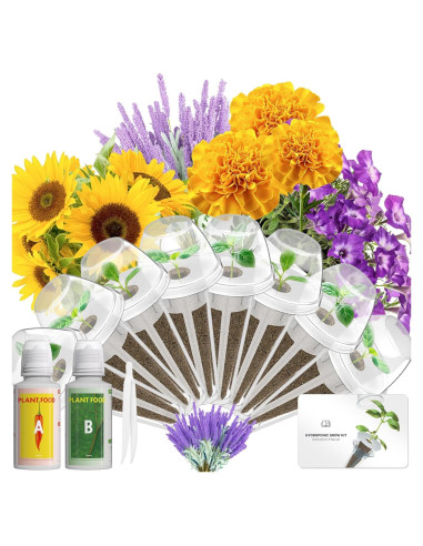 Kit de Semillas Hidropónicas LYKOCLEAN 8 Vainas Flores