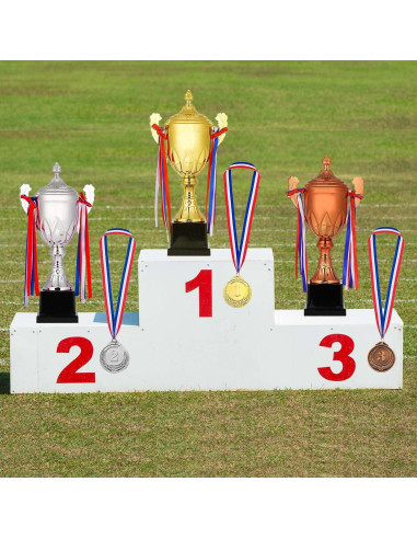 Trofeo de Premio Dorhui 41.9 cm Bronce con Medalla y Cinta