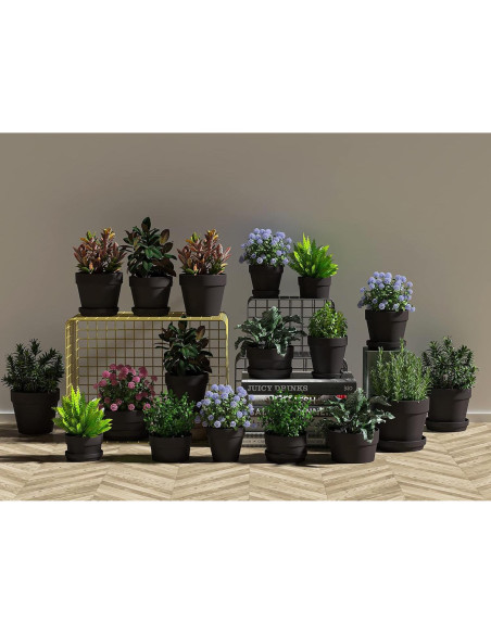 36 Macetas Negras de Arcilla Fcacti 6.35 cm con Drenaje 36 Macetas Negras de Arcilla Fcacti 6.35 cm con Drenaje