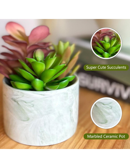 Plantas Artificiales Suculentas Coloridas Karlliu en Maceta Cerámica Plantas Artificiales Suculentas Coloridas Karlliu en Maceta Cerámica