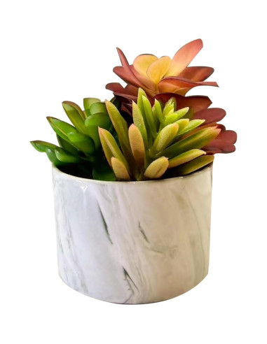 Plantas Artificiales Suculentas Coloridas Karlliu en Maceta Cerámica