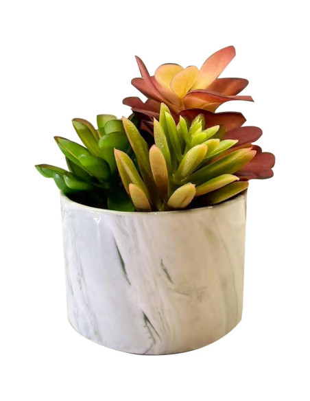 Plantas Artificiales Suculentas Coloridas Karlliu en Maceta Cerámica Plantas Artificiales Suculentas Coloridas Karlliu en Maceta Cerámica