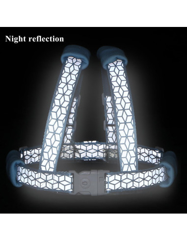 Arnés Reflectante para Niños Pequeños - 3 en 1 Azul