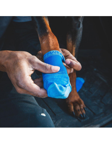 Calcetines para perros Ruffwear Bark'n Boot Azul piscina