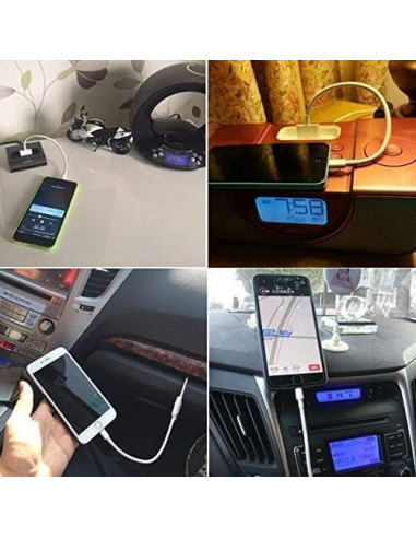 Adaptador Lightning a 30 Pines Belcompany - Carga y Sincronización
