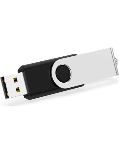 Paquete de 10 memorias USB 2.0 2GB MAKACTUA color negro