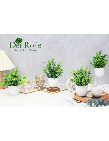 Plantas Falsas Der Rose en Macetas - Paquete de 4 Mini Plantas