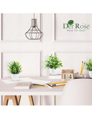 Plantas Falsas Der Rose en Macetas - Paquete de 4 Mini Plantas