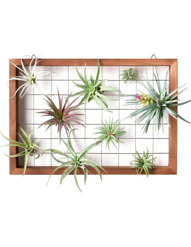 Mkono Soporte Colgante para Plantas de Aire 16" Madera Natural