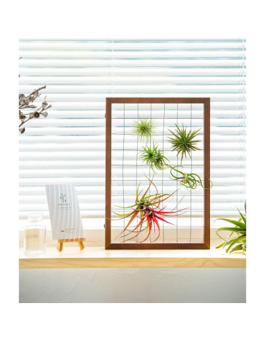 Mkono Soporte Colgante para Plantas de Aire 16" Madera Natural