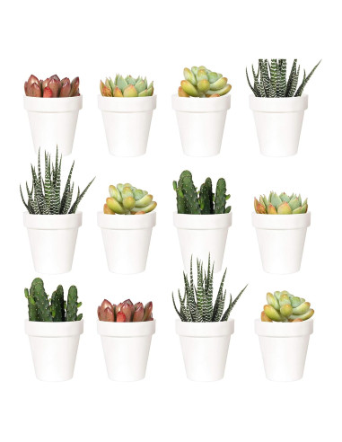 Youngever 24 Macetas de Plástico Mini 5.08 cm con Drenaje