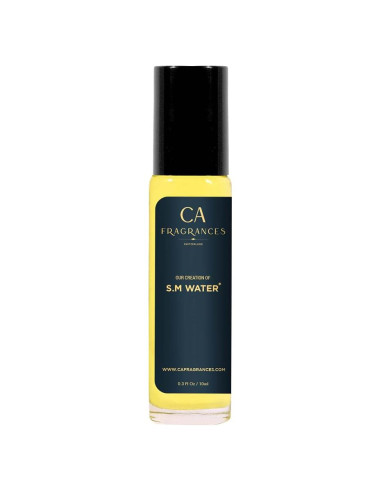 Aceite de Fragancia CA Fragancias 10ml Impresión Silver Mountain Aqua