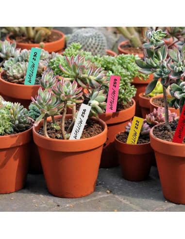Etiquetas para Plantas 600 Pcs 10 cm PVC Impermeable Foraineam