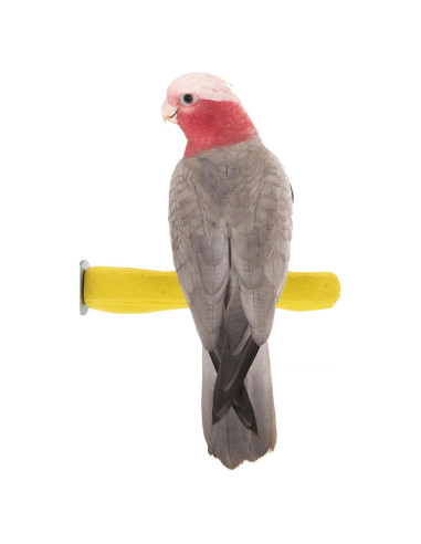 Percha de Seguridad Mediana Sweet Feet & Beak 21.6 cm Amarillo