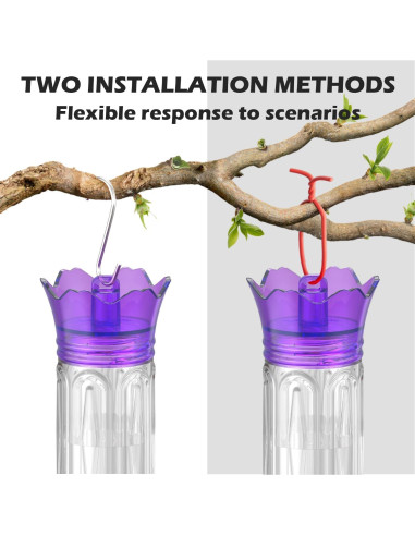 Alimentador de Colibríes Birdream 0.28L Colgante Antifugas Púrpura