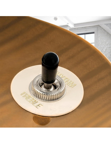 Tapa de Selector de Pastillas Banworks para Guitarras Epiphone