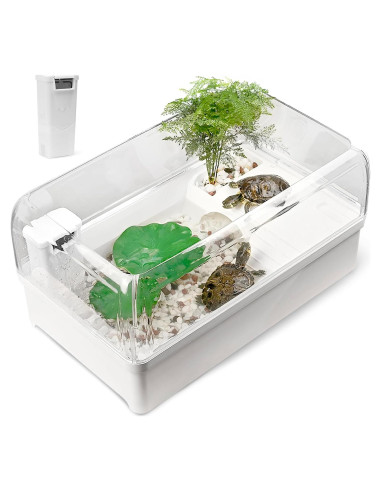 Kit Acuario para Tortugas AZV con Filtro y Área Multifuncional