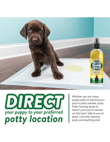 Spray de Entrenamiento para Ir al Baño Bodhi Dog 236.6 ml