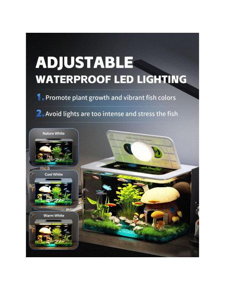 Kit Acuario Pequeño 9.5L Pez Cola Roja con Luz LED y Filtro Kit Acuario Pequeño 9.5L Pez Cola Roja con Luz LED y Filtro