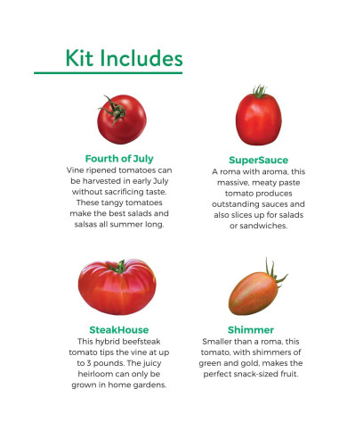 Kit de Inicio de Semillas de Tomate Burpee - 4 Variedades