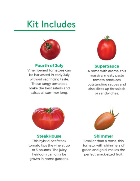 Kit de Inicio de Semillas de Tomate Burpee - 4 Variedades Kit de Inicio de Semillas de Tomate Burpee - 4 Variedades
