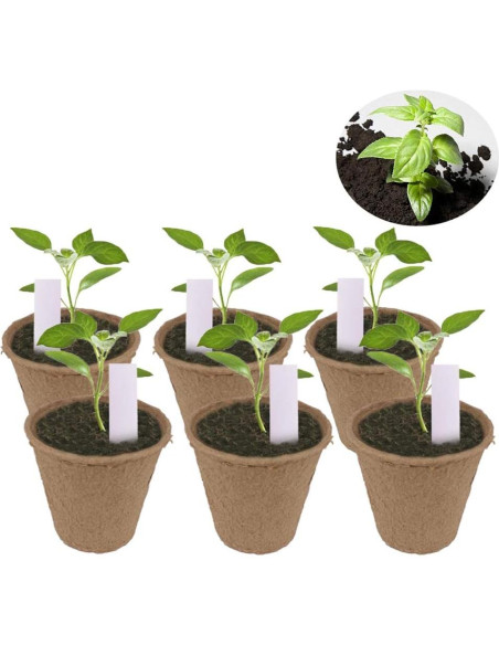 Paquete de 100 macetas biodegradables Huvai 8 cm para plántulas Paquete de 100 macetas biodegradables Huvai 8 cm para plántulas