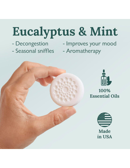 Pastillas de Vapor Gilden Tree Eucalipto Menta 100% Puro Pastillas de Vapor Gilden Tree Eucalipto Menta 100% Puro