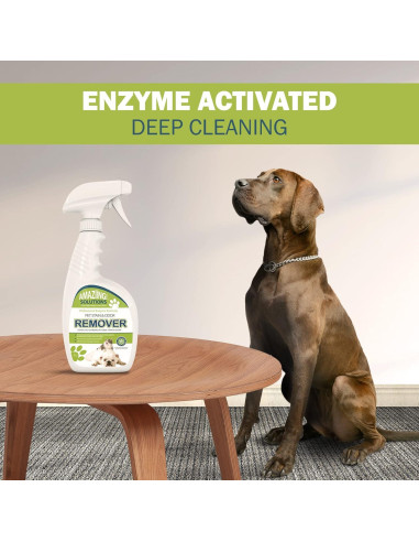 Removedor de Manchas y Olores de Mascotas Amaziing 32oz