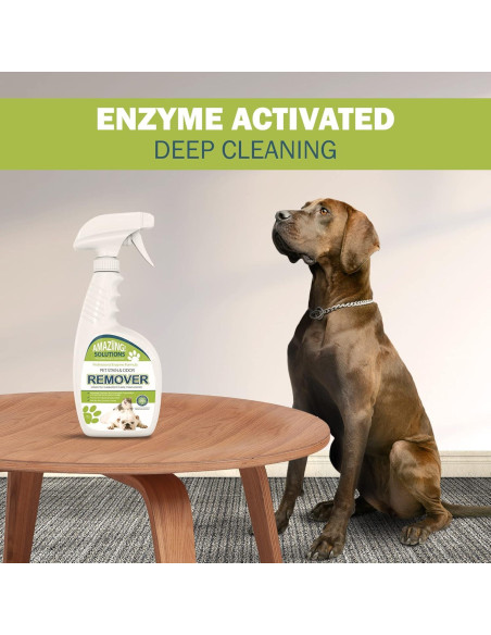 Removedor de Manchas y Olores de Mascotas Amaziing 32oz Removedor de Manchas y Olores de Mascotas Amaziing 32oz