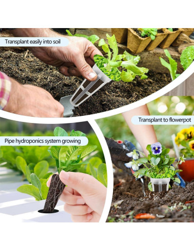 Kit de Cápsulas de Semillas 67 Piezas Natalolo Hidroponía