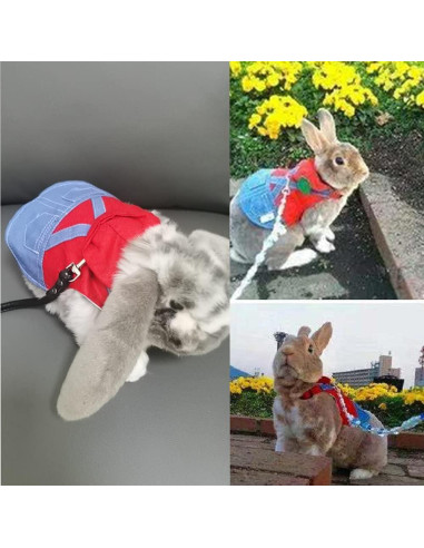 Sudadera con Capucha para Mascotas Pequeñas Anelekor - Arnés y Correa