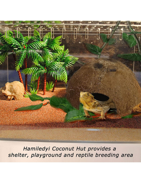 Refugios Naturales de Coco Hamiledyi para Reptiles - 4 Pcs Refugios Naturales de Coco Hamiledyi para Reptiles - 4 Pcs