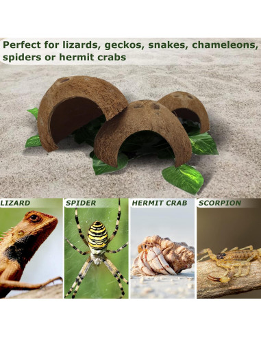 Refugios Naturales de Coco Hamiledyi para Reptiles - 4 Pcs