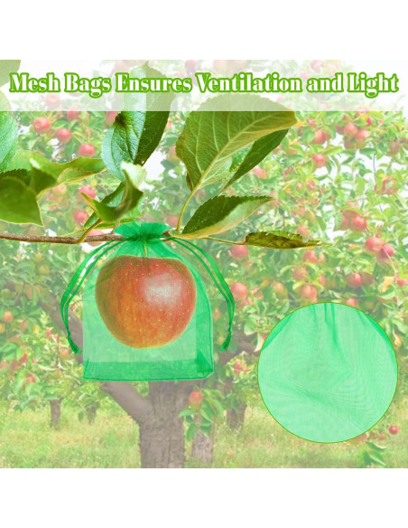 Bolsas de Protección para Frutas Morcheiong 60 Pcs 15x20 cm Bolsas de Protección para Frutas Morcheiong 60 Pcs 15x20 cm