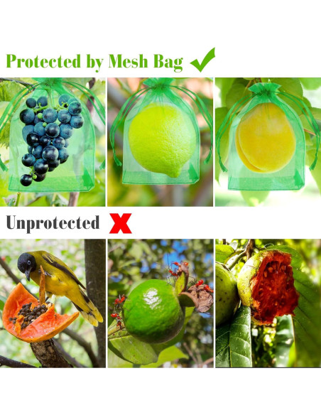 Bolsas de Protección para Frutas Morcheiong 60 Pcs 15x20 cm Bolsas de Protección para Frutas Morcheiong 60 Pcs 15x20 cm