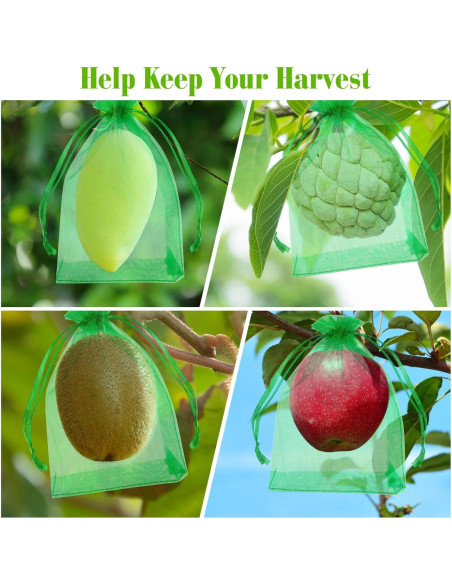Bolsas de Protección para Frutas Morcheiong 60 Pcs 15x20 cm Bolsas de Protección para Frutas Morcheiong 60 Pcs 15x20 cm