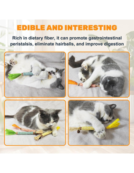 12 Juguetes de Masticar para Gatos Sysmashing - Silvervine Natural 12 Juguetes de Masticar para Gatos Sysmashing - Silvervine Natural