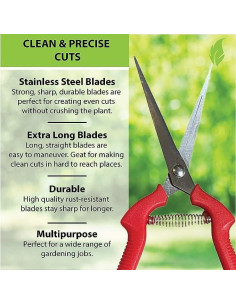 Tijeras de Podar Garden Guru de Acero Inoxidable 20cm 2