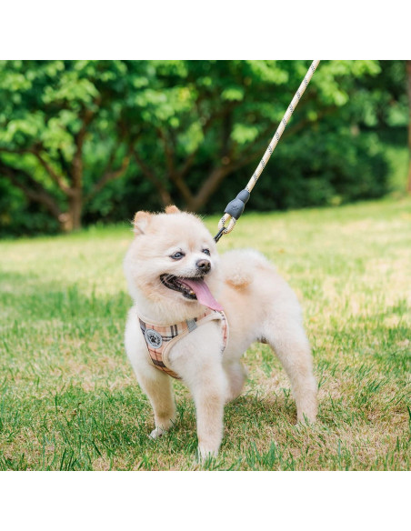 BEAUTYZOO Arnés y Correa para Perros Pequeños Beige XXS BEAUTYZOO Arnés y Correa para Perros Pequeños Beige XXS