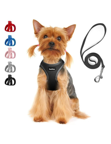 Arnés para Perros Pequeños PetiFine XXXS Negro - Malla Transpirable