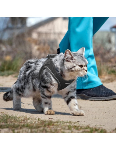 Arnés para Perros Pequeños PetiFine XXXS Negro - Malla Transpirable