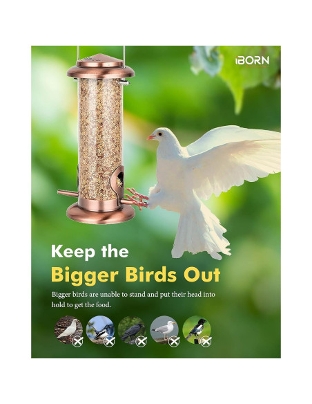 Comedero para Aves Colgante iBorn Cobre 400g 2 Puertos Comedero para Aves Colgante iBorn Cobre 400g 2 Puertos