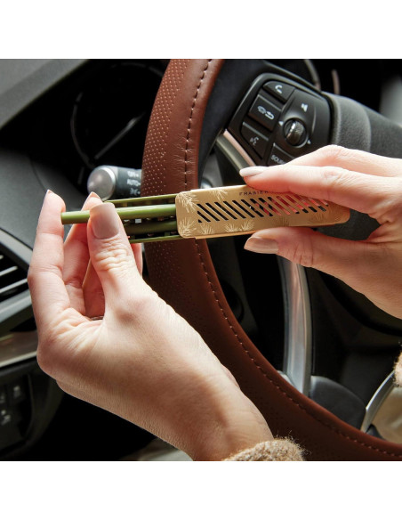 Kit de Difusor de Auto Thymes Frasier Fir - Ambientador Larga Duración Kit de Difusor de Auto Thymes Frasier Fir - Ambientador Larga Duración